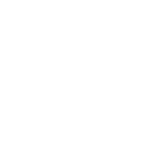 Igor Besermenji